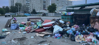&quot;Представляет угрозу здоровью&quot;: на антисанитарию во дворе пожаловалась семейчанка