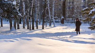 Плюсовая температура и метель: долгожданное потепление ожидается в Татарстане в пятницу 13/02/2026 &ndash; Новости