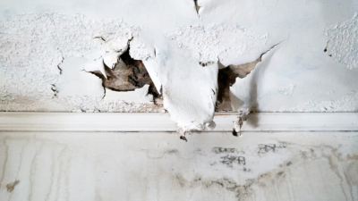 В Талдыкоргане акимат дал многодетной семье гниющий коттедж