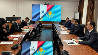 Казахстанский экспорт во Францию увеличился почти в 6 раз за счет семян рапса