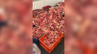 22 тонны изъятого мяса передала полиция в приют для животных в Астане
