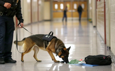 Восьмиклассник «заминировал» школу и дом