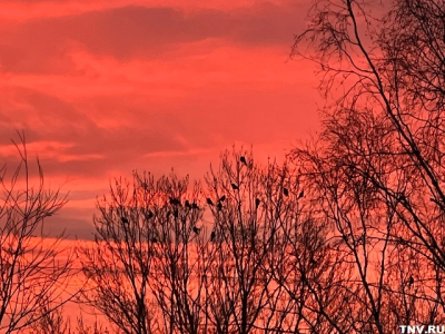 Раннее половодье или тихое таяние: профессор КФУ &mdash; о непредсказуемой весне в Татарстане