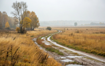 Дождь и ветер прогнозируют в Актобе