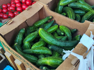 В Минсельхозе разъяснили колебания цен на огурцы