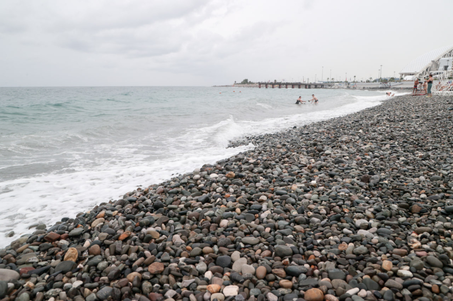 Недалеко от&nbsp;побережья Анапы обнаружили нефтяное пятно, а&nbsp;на&nbsp;пляжах &ndash; 200 измазанных птиц