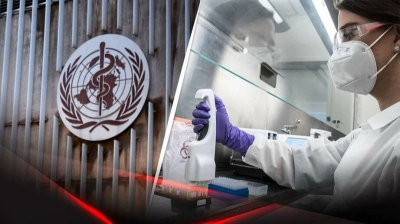 ВОЗ подтвердила хантавирус у пяти из восьми заболевших на круизном судне, вышедшем из Аргентины