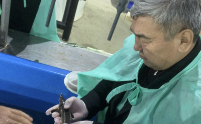 Осетровые, икра и новые рабочие места: как развивается аквакультура в Атырауской области