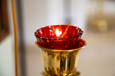 Драпеко рассказала, когда прошла ее последняя встреча с актрисой Шевчук