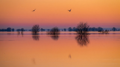 Снега много &mdash; воды не факт: затопит ли Татарстан после аномальной зимы?