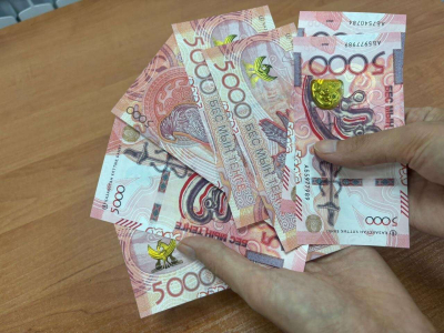 Что грозит за незаконную рубку хвойных деревьев в Казахстане?