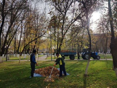 К Дню работников лесного хозяйства прошел масштабный субботник