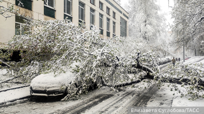 Синоптик Макарова исключила снег на майские праздники в Московском регионе