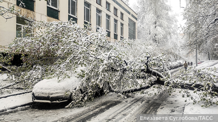 Синоптик Макарова исключила снег на майские праздники в Московском регионе