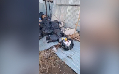 Народный репортер. Свалка за забором в центре города