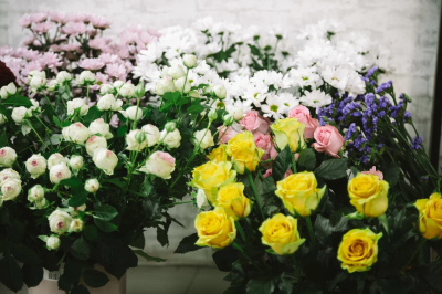 РФ грозит дефицит гортензий из-за наводнения в Колумбии