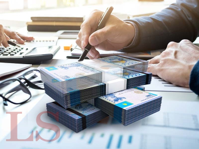 Главные аудиторы проверят работу экономических зон