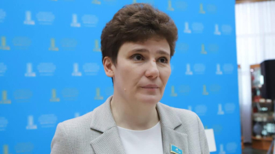 Смышляева использует ИИ для подготовки законопроектов