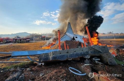 Пассажирский самолет разбился в Южной Корее