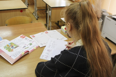 &laquo;Усадьбу нельзя назвать школой&raquo;: жители Красного Городка жалуются на условия обучения детей