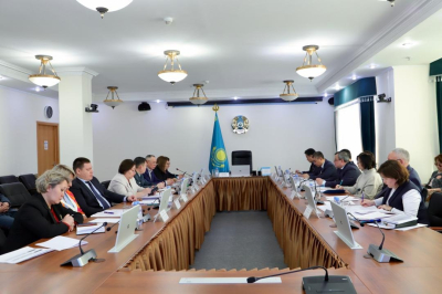 В Казахстане представили Концепцию инклюзивной политики до 2030 года