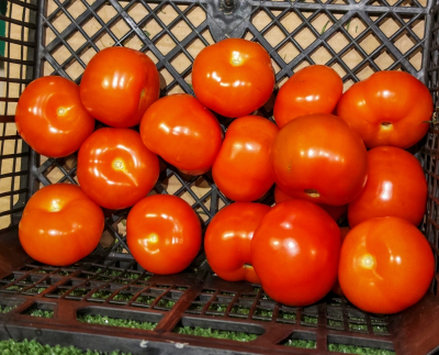 К 8 марта в Новосибирске взлетели цены на яйца и помидоры