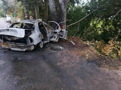 В Татарстане автомобиль влетел в дерево, 6 человек погибли