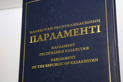 Глава Минкультуры прокомментировала инцидент с журналистом в здании Мажилиса
