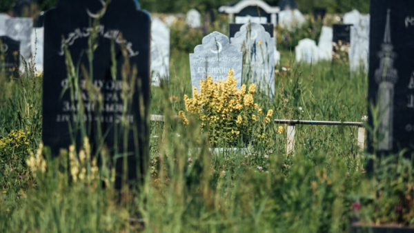 В Казани готовят к признанию объектами культурного наследия могилы Марджани, Баруди и Максуди 23/04/2026 &ndash; Новости