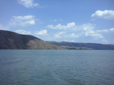 Природа как новый бренд